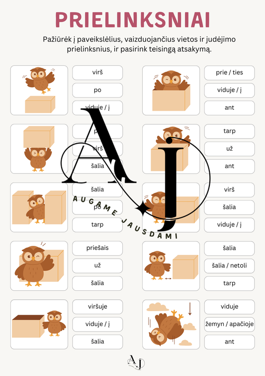 Visapusiško ugdymo užduotys (kognityviniai, kalbiniai ir emociniai įgūdžiai)